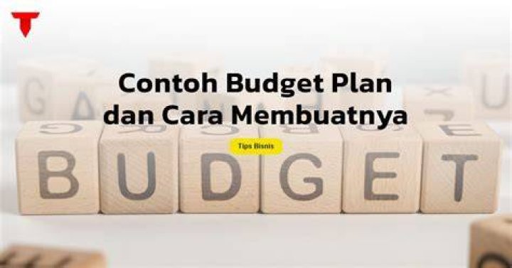 Apa itu budget plan?