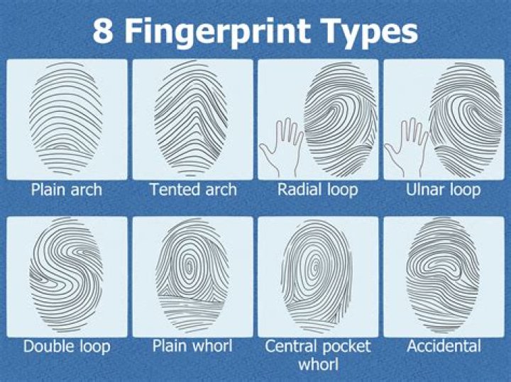 Are all 10 of your fingerprints the same?