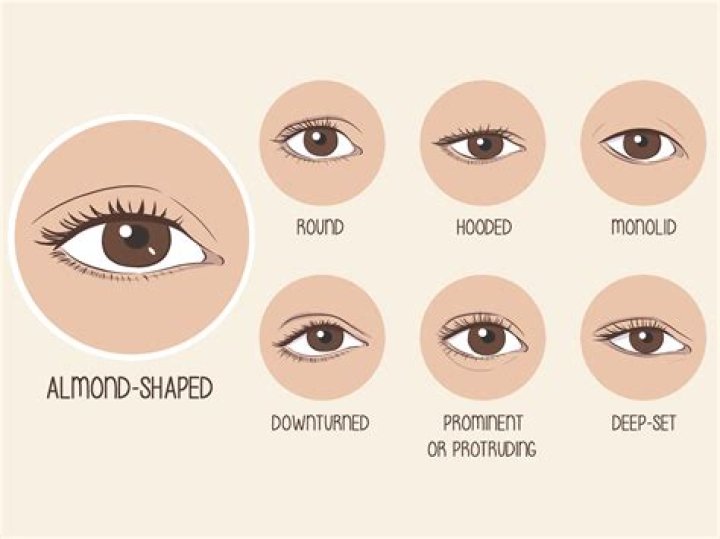 Are almond shaped eyes dominant or recessive?