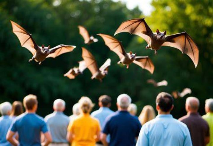 Are bats scared of humans?
