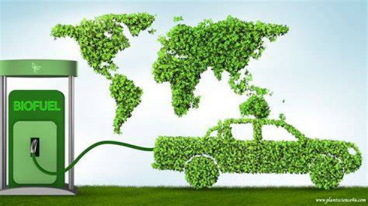 Are biofuels the future?