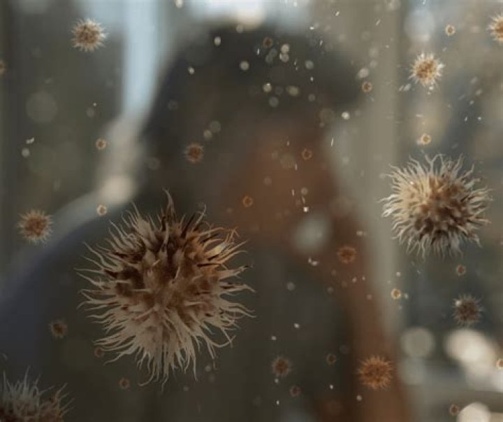 Are black mold spores airborne?