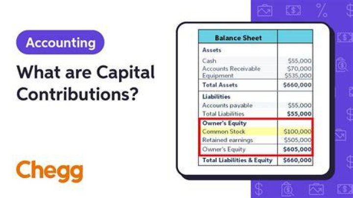 Are capital contributions considered revenue?