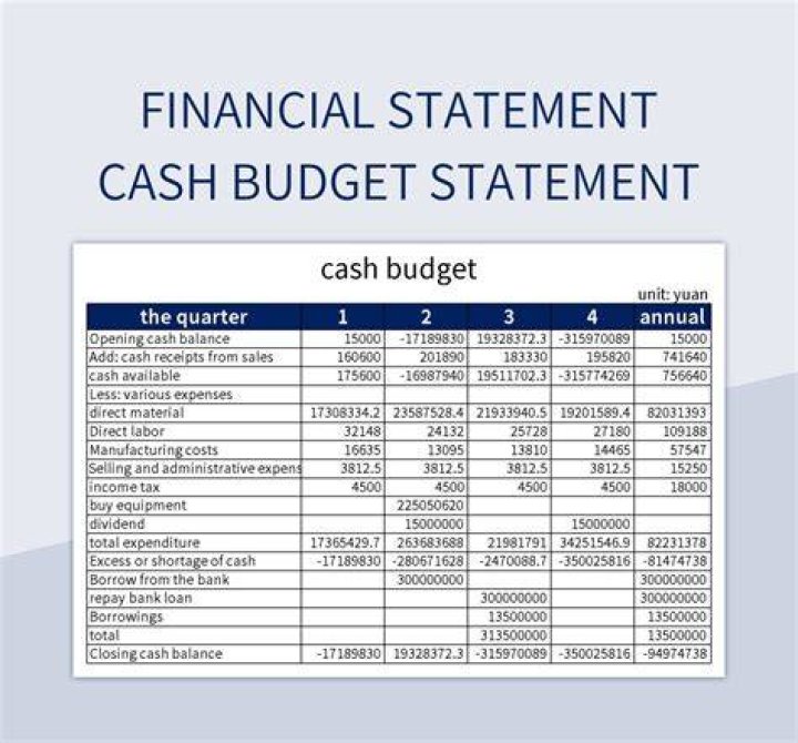 Are cash budget included in financial statements?