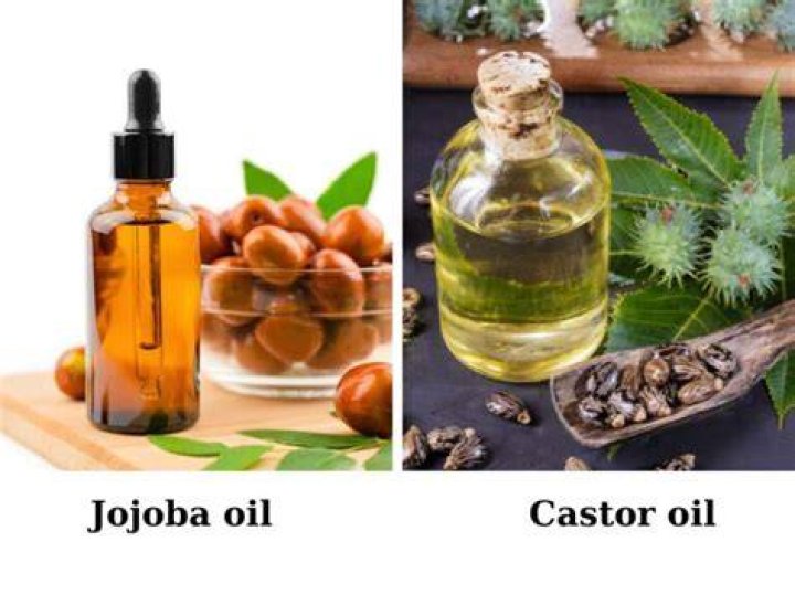 Are castor oil and jojoba oil the same?