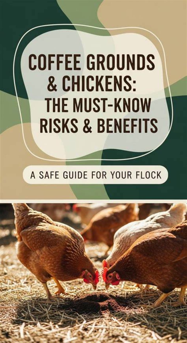Are coffee grounds bad for chickens?