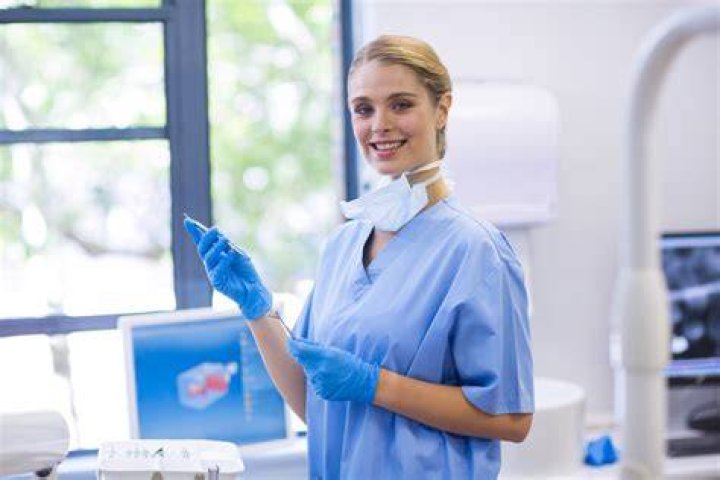 Are dental hygienists independent?