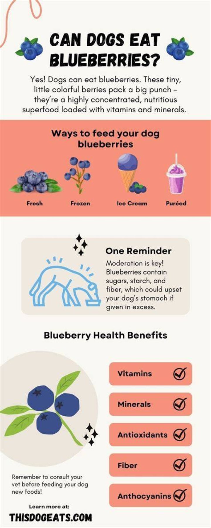 Are dogs allowed blueberries?