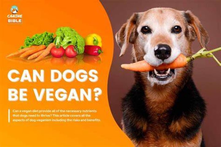Are dogs vegan?