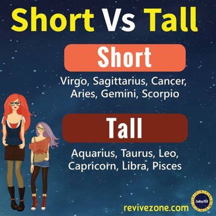 Are Gemini Tall or short?