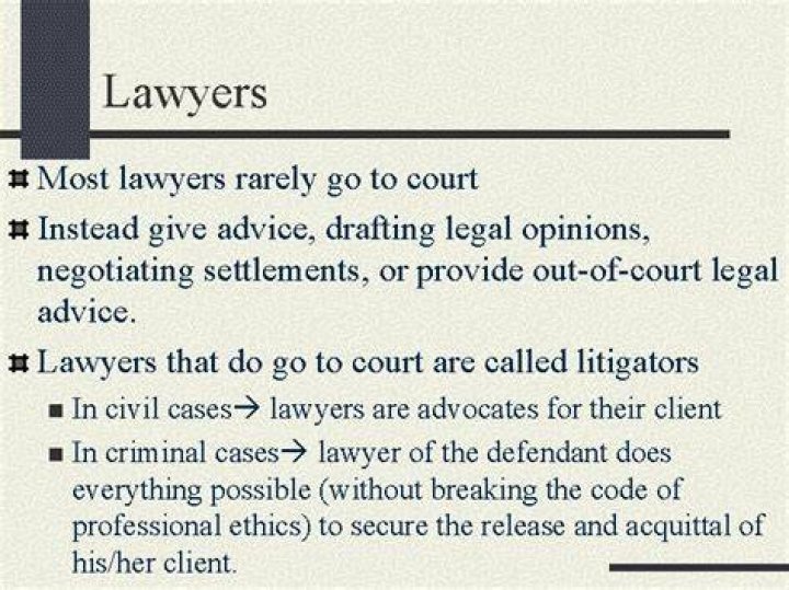 Are lawyers who go to court called litigators?