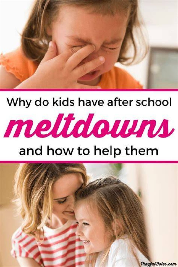 Are meltdowns normal for 2 year olds?