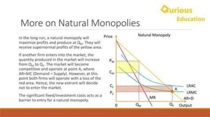 Are natural monopolies regulated by the government?