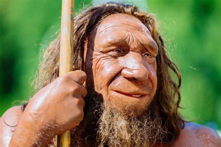 Are Neanderthals cannibals?