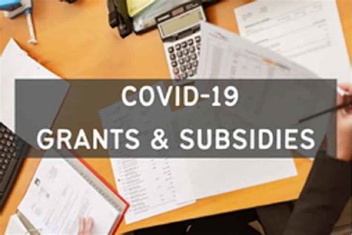Are NH Covid grants taxable?
