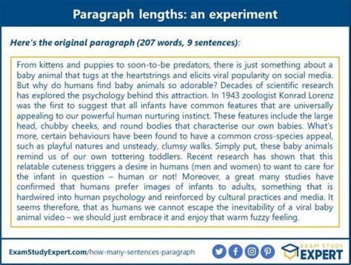 Are paragraphs 4 6 sentences?