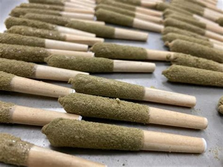 Are pre-rolls good for beginners?