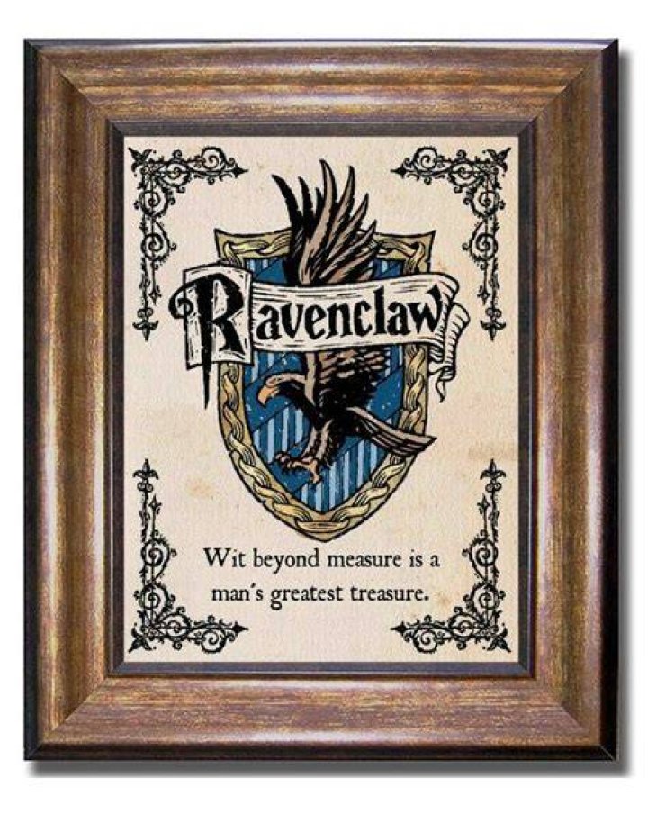 Are Ravenclaw nerds?