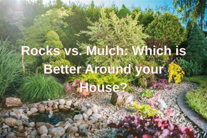 Are rocks or mulch better for drainage?