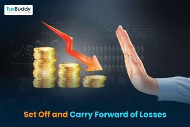 Are S Corp losses carried forward?