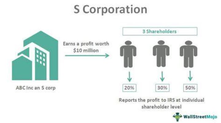 Are S corp shareholders considered owner employees?