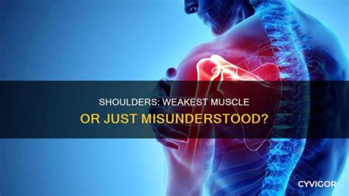 Are shoulders the weakest muscle?