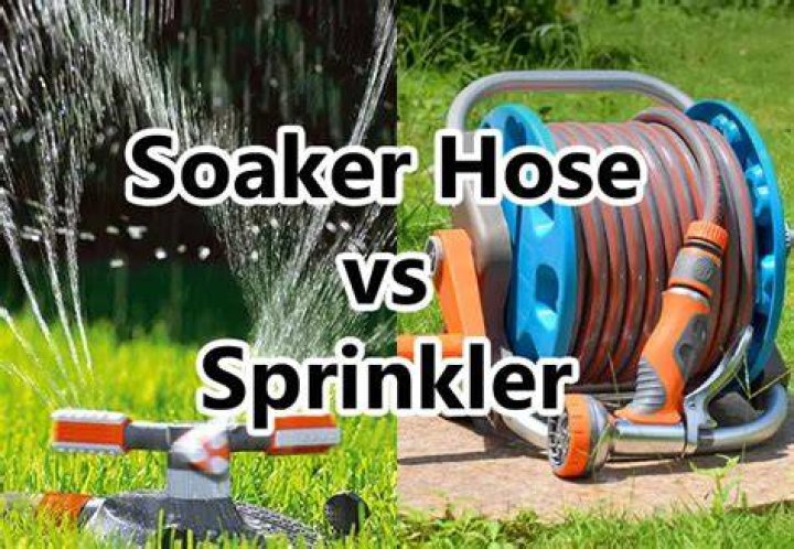Are soaker hoses better than sprinklers?