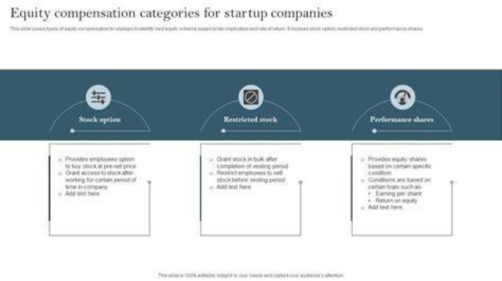 Are startup companies equity financed?