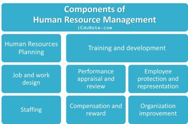 Are students part of human resources?