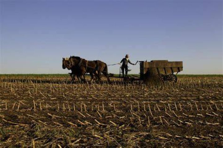 Are the Amish rich?