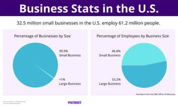 Are there 20 million single person businesses in the US?