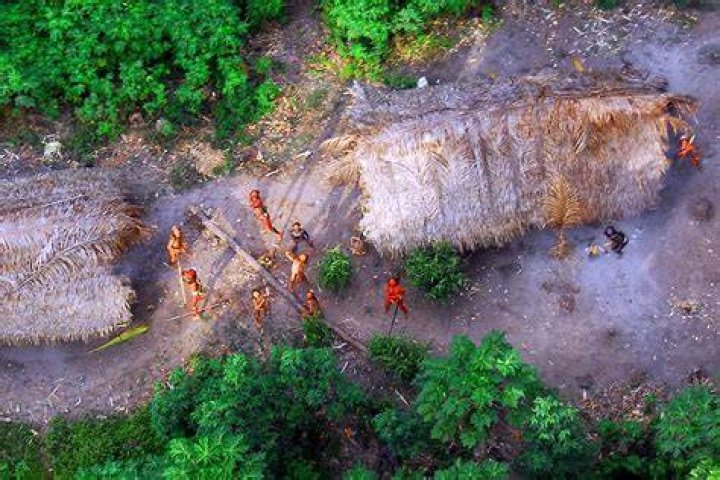 Are there any tribes undiscovered?