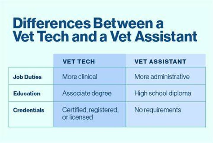 Are there different levels of vet techs?