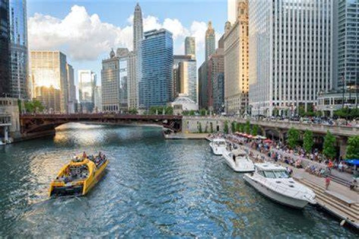 Are there fish in the Chicago River?