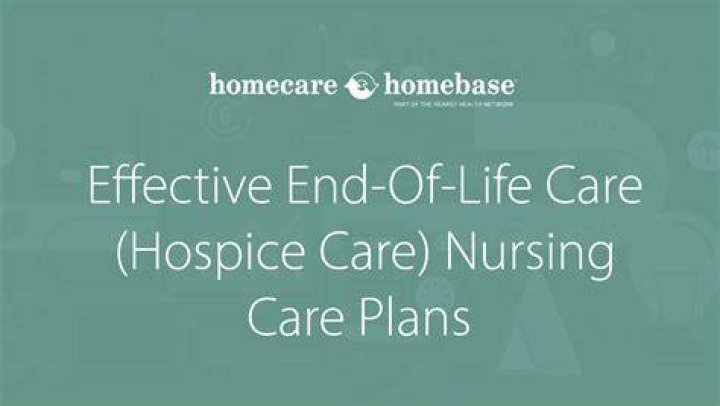 Are there nursing homes at the end of life?