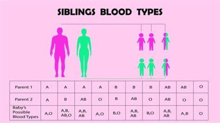 Are twins the same blood type?