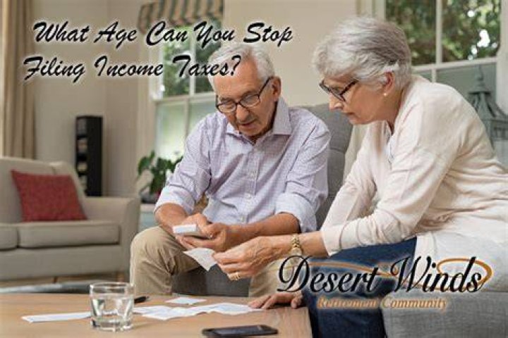 At what income level can you stop filing taxes?