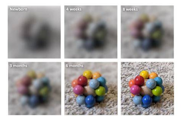 Can a 4 month old see color?