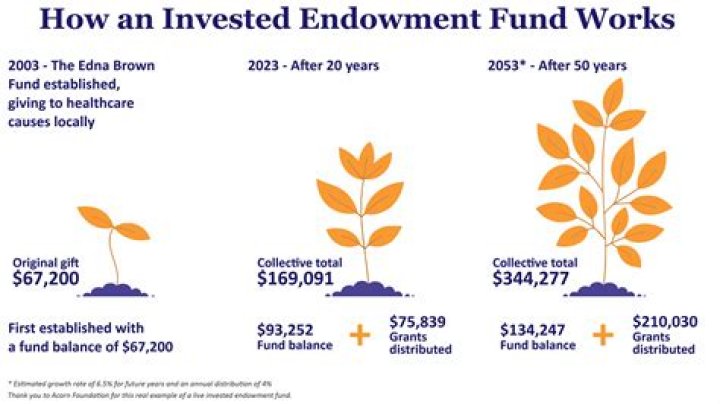 Can a 501c3 have an endowment fund?