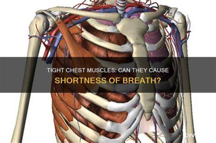 Can a big belly cause shortness of breath?