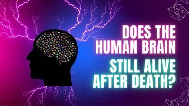 Can a brain be kept alive after death?