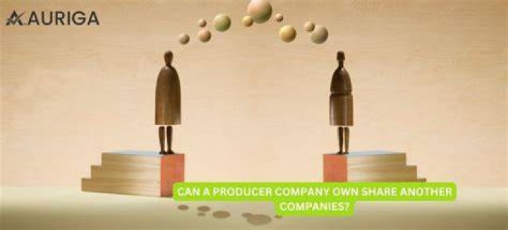 Can a company own another company?
