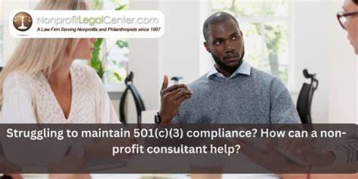 Can a consultant be a non profit?