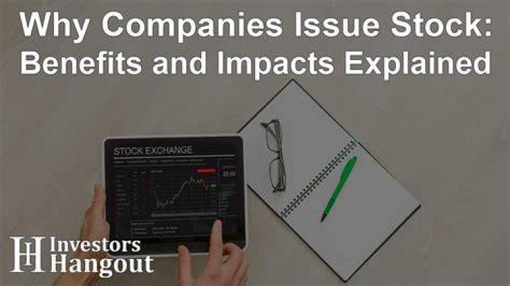 Can a corporation issue stock?
