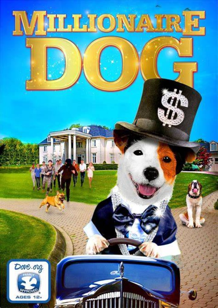 Can a dog be a Millionaire?