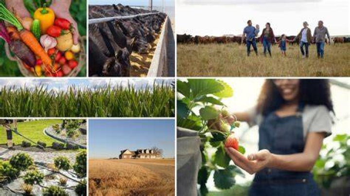 Can a farm be a corporation?