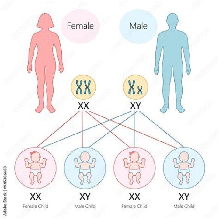 Can a female be born with XY chromosome?