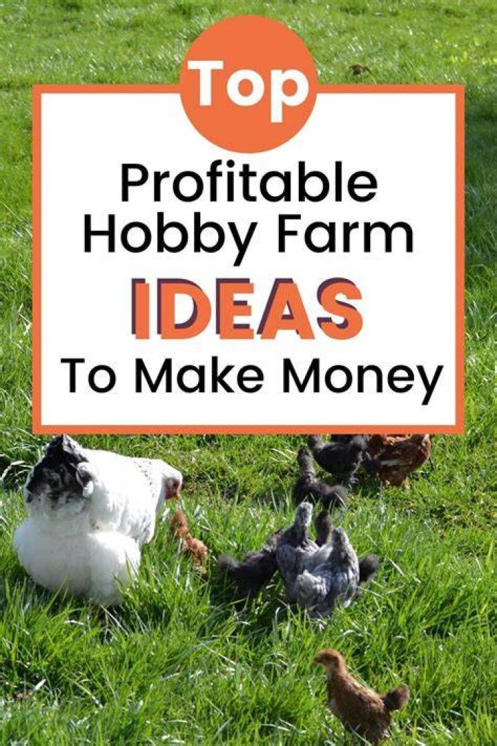 Can a hobby farm make money?
