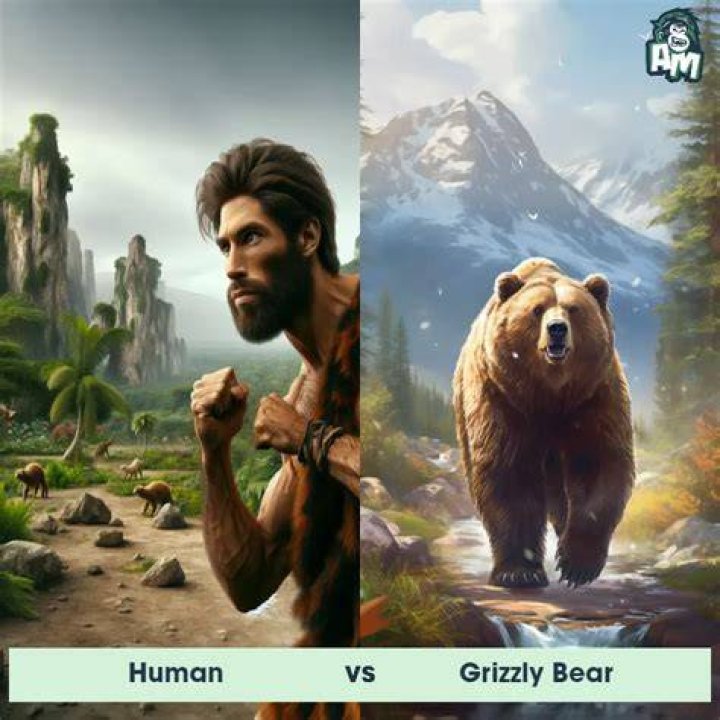 Can a human Outbike a bear?