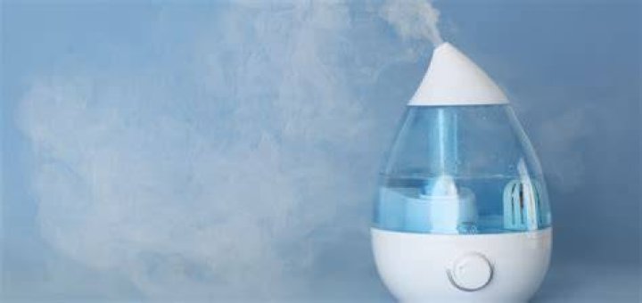Can a humidifier give you a fever?
